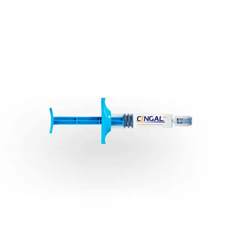 CINGAL 01